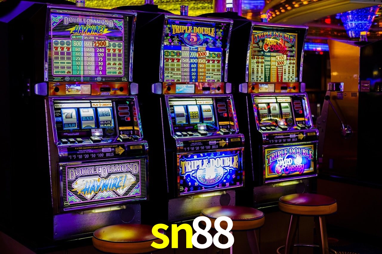 Login Seguro sn88